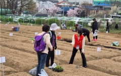 서초구, 도심 속 힐링공간 ‘도시텃밭’ 개장