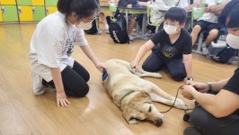 성동구, 초·중등 진로체험 프로그램 운영…너의 미래가 궁금해!