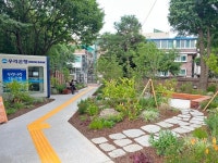 성동구, 치유와 숲이 어우러진 동행가든 ‘유화원’ 조성