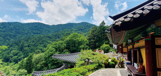 [매월당 싯길 (23) 오대산 ②] 오대 있어 오대산, 정취도 다섯 가지