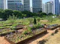 동네 곳곳이 정원으로…영등포구, ‘우리동네 동행정원’ 참여 대상지 모집