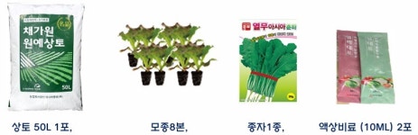 단돈 9,000원으로 즐기는 수확의 기쁨…  영등포구, 가정용 상자텃밭 450세트 분양