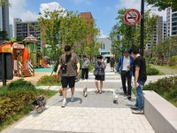 동물 등록 완료한 반려견과 보호자 대상...성북구 장위3동 주민자치회,  반려견 산책교실 개최