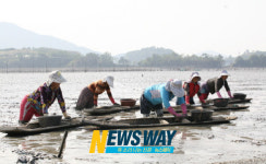 고흥군, 꼬막마을에 갯벌체험공원 개장