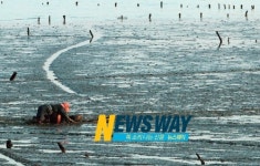 청정고흥,국제 머드림픽 개최 시동