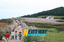 슬로시티 청산도, 관광인프라 확충 추진