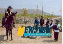 전남도·마사회, 전국민 말타기 운동 전개