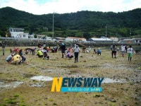 거제 도시민 초청 어촌체험행사 가져
