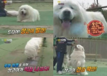 상근이 근황 공개, 현재 건강한 상태, 영화 출연 계획