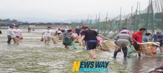 짜릿한 손맛! 맨손 고기잡이 바다체험 장 마련