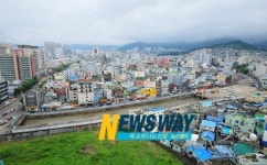 창원시 회원천 생태하천으로‥ 녹색 명소 탄생
