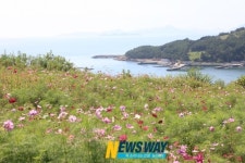 성큼 가을로 물든 슬로시티 청산도
