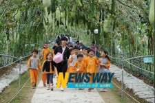 하동군, 북천 코스모스·메밀꽃 23∼25일경 절정‥축제 준비 구슬땀