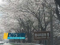 [뉴스웨이 경남투어]대한민국에서 가장 가보고 싶은 하동, 섬진강 평사리공원