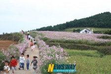 청산휴가(靑山休家) 어울림 한마당…20일부터