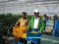 김동진 시장, 통영농업발전 위한 현지 간담회