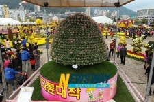 창원 가고파 국화축제 국가지정축제 2년 연속 선정
