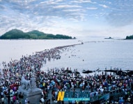 진도 신비의 바닷길 4월 7일 활짝