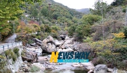 [NW 경남 투어] 경남의 걷고 싶은 길 산청의약EXPO 유평계곡 길