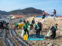 통영시 정량동 봄맞이 환경정화활동 전개