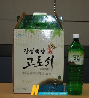 전남지역, 기후 변화 속 고로쇠 수액 채취 본격화