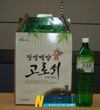전남지역, 기후 변화 속 고로쇠 수액 채취 본격화