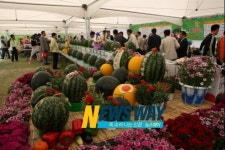제13회 의령 토요애 수박축제 12일 개최