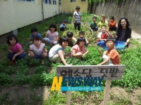 하동 횡천초교, 텃밭 조성 채소 수확체험