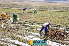 완도군, 해조류부산물 재활용 우수사례 선정