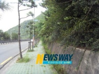 마산회원구 봉암동, 무역로 보도블록 잡초제거 등 환경정비