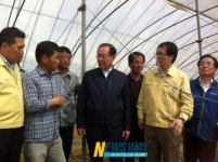 새누리당 황우여 대표 나주 배농장 방문