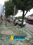 마산회원구 석전1동 태풍 산바 뒷자리 환경정비 마무리