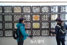 세계 희귀나비와 곤충을 한눈에…