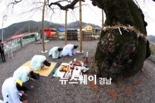 의령군 유곡면 세간마을에서 동신제 열려