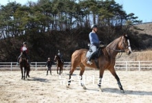 [NW포토]봄기운 만끽하는 산청승마장