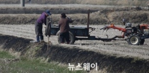 [NW포토]논두렁 다지는 농부