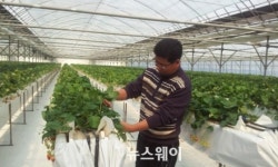 장흥군, 귀농하기 가장 좋은 지자체 차지