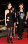 [TD포토] 파격 미니 드레스 입은 2NE1 산다라박 섹시하네~