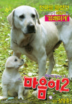 마음이2 마음이, 개 최초로 여우주연상 노미네이트