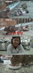 동물농장 양평 高양이, 새끼 고양이 6마리 학교에 사는 이유는?