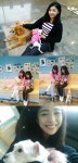 루나, 다나 애견카페 홍보대사 자청 관심과 사랑 부탁해요