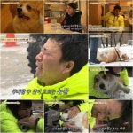 동물농장 똘똘이, 강원래 반려견 그 이상의 의미 가족이라는 이름
