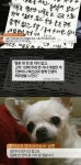 황정순 유서 공개·강아지 안락사 충격 만행에도 법적 상속 가능해 씁쓸