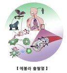 서아프리카 시에라리온서 에볼라 바이러스 감염 5명 사망 …치사율90%