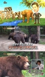 동물농장 암컷 곰 유토 폭행사건, 수컷 웅대가 범인 내가 못 가질 바에는…