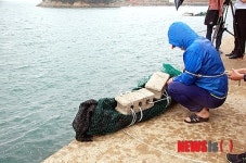 여수 백야대교 살인사건 주범 무기징역 확정…대법원 죄질 불량하다