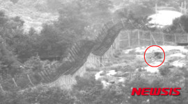 DMZ 지뢰 폭발사고, 긴박했던 현장 영상 '빛난 전우애'