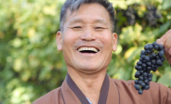 ‘독한인생 서민갑부’ 농사의 신, 흑염소+산머루 농사 ‘대박 팁’은?