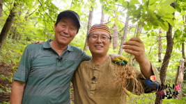 ‘갈 데까지 가보자’ 수양산 오지 라이프, 1만평 농장 일궈낸 비결은?