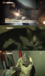 동물농장 환풍구 속 고양이 형제 구출 작전 성공